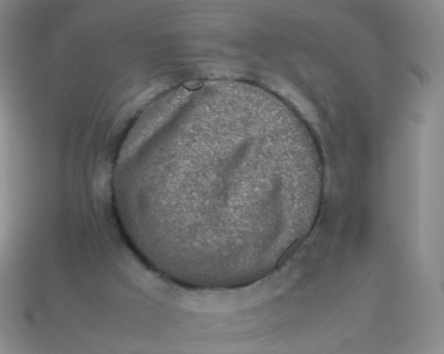 X0000113540009200910161422