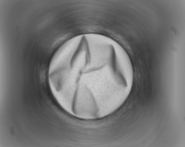 X0000113540010200910161422