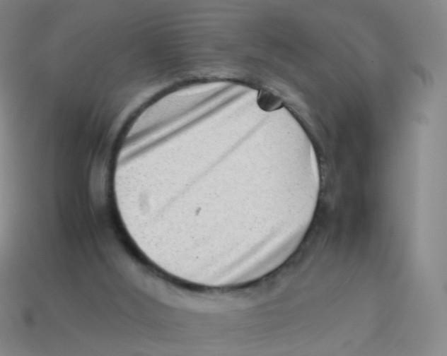 X0000113540012200910161422