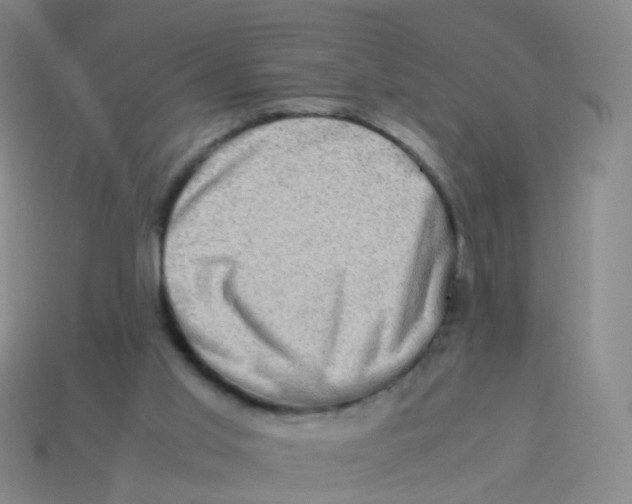 X0000113540013200910161422