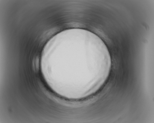 X0000113540014200910161422