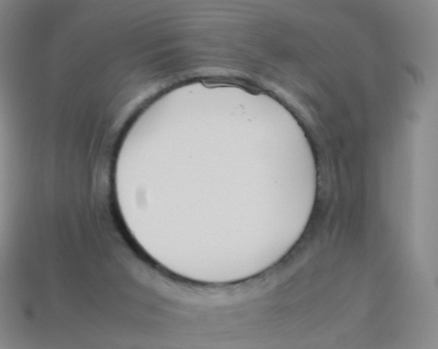 X0000113540015200910161422