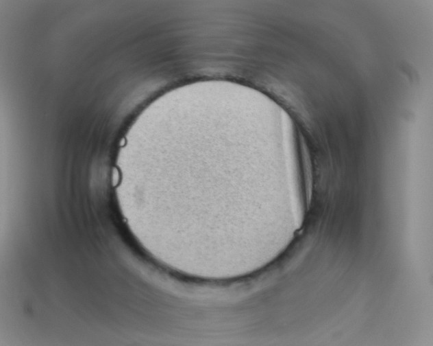 X0000113540016200910161422
