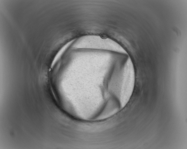 X0000113540017200910161422