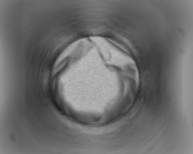 X0000113540018200910161422
