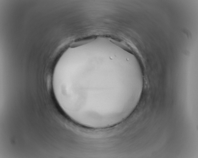 X0000113540019200910161422