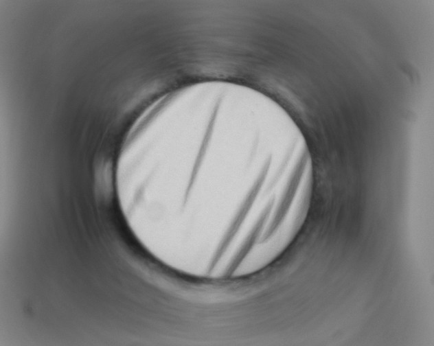 X0000113540020200910161422