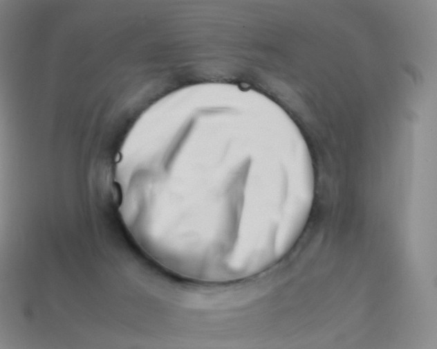 X0000113540021200910161422