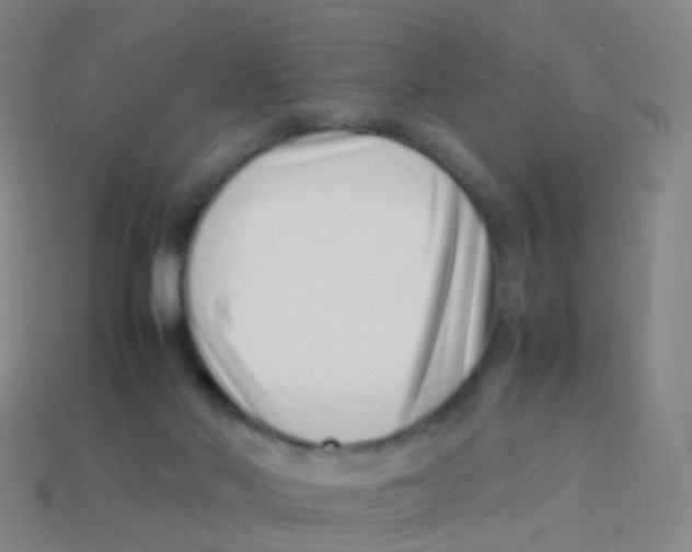 X0000113540022200910161422