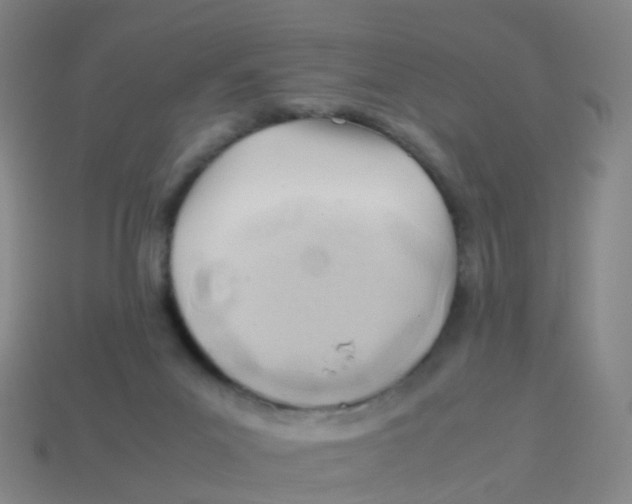 X0000113540023200910161422