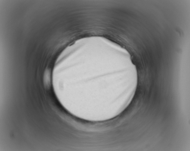 X0000113540028200910161422