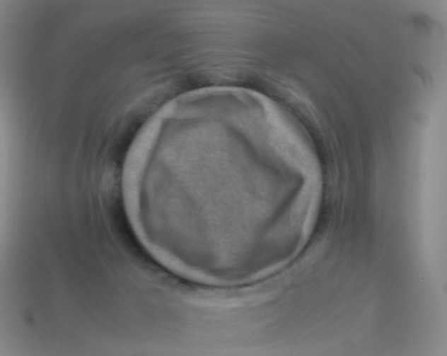 X0000113540029200910161422