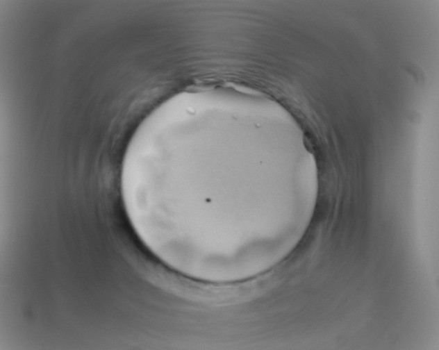 X0000113540031200910161422