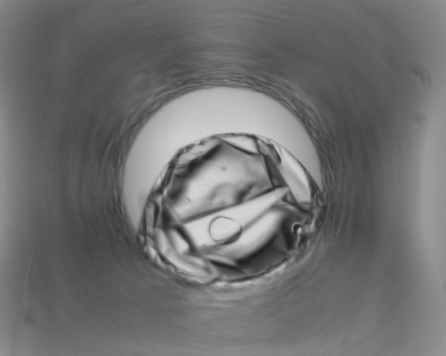 X0000113540033200910161422