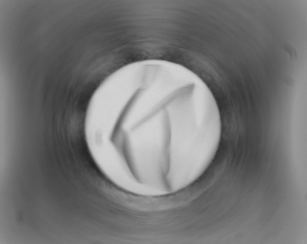 X0000113540034200910161422