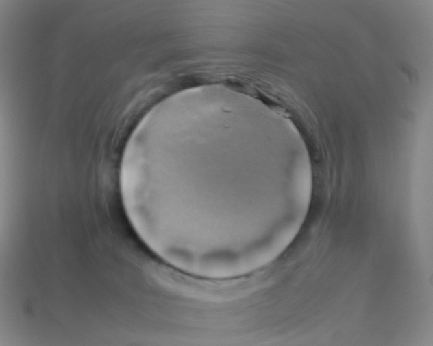 X0000113540035200910161422
