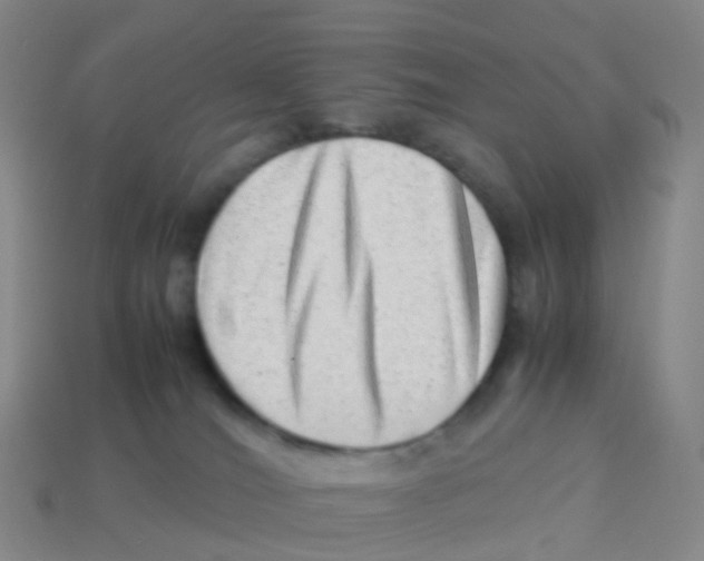 X0000113540036200910161422