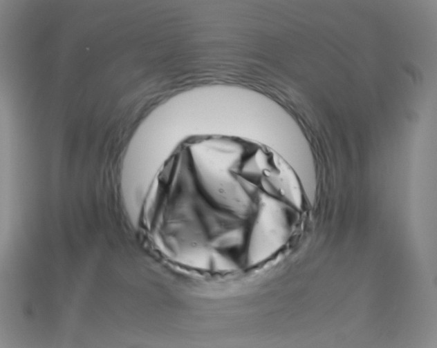 X0000113540037200910161422