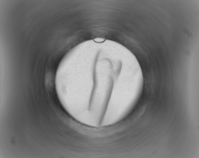 X0000113540038200910161422