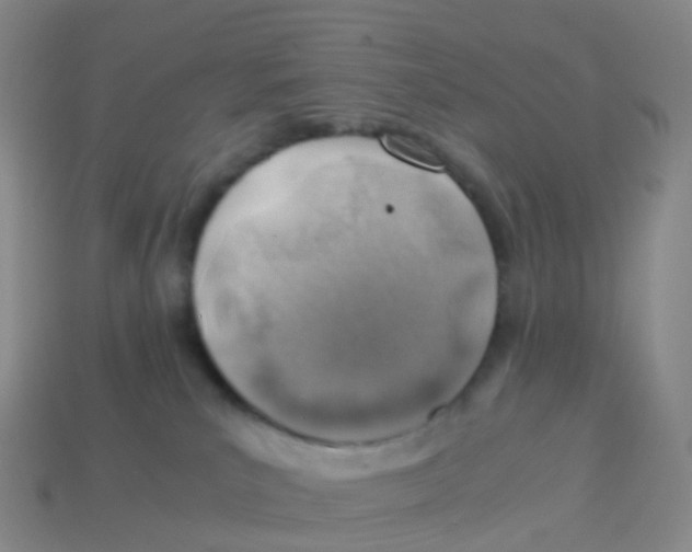 X0000113540039200910161422