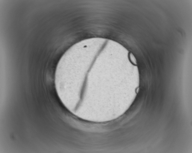 X0000113540040200910161422