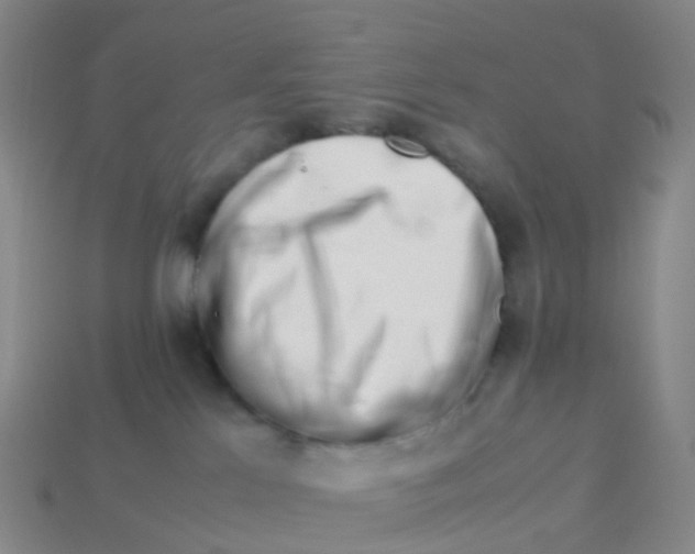 X0000113540041200910161422