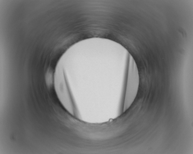 X0000113540042200910161422