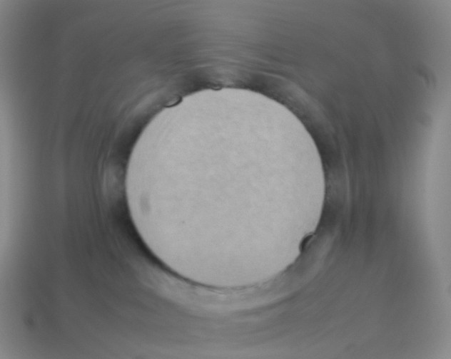 X0000113540043200910161422