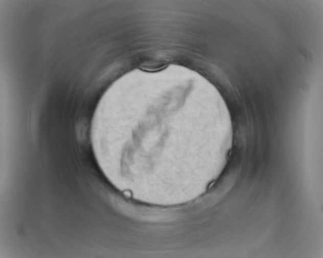 X0000113540044200910161421
