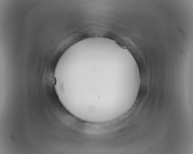 X0000113540045200910161421