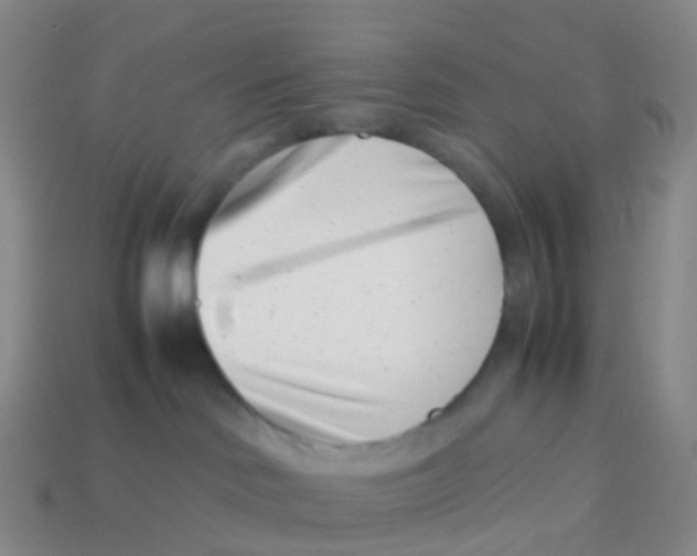 X0000113540046200910161421