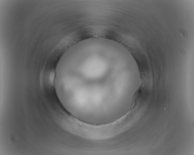 X0000113540047200910161421