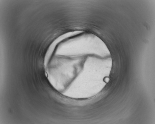 X0000113540048200910161421