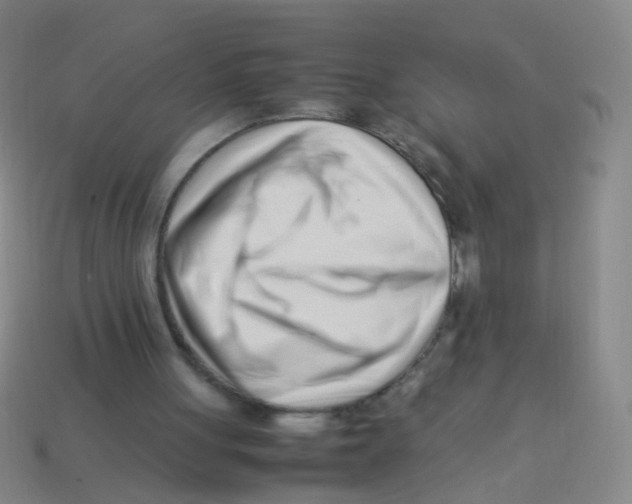 X0000113540051200910161421