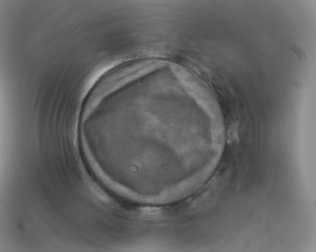 X0000113540052200910161421