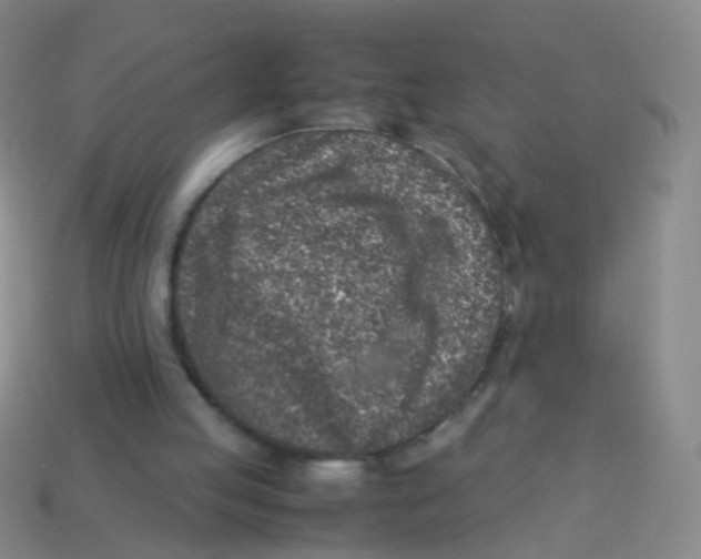 X0000113540053200910161421