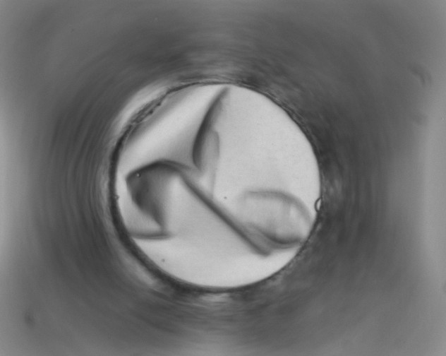 X0000113540054200910161421