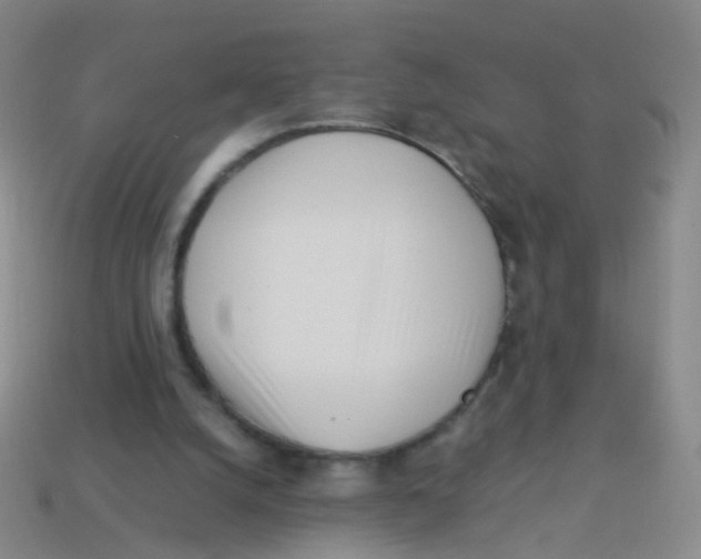 X0000113540056200910161421