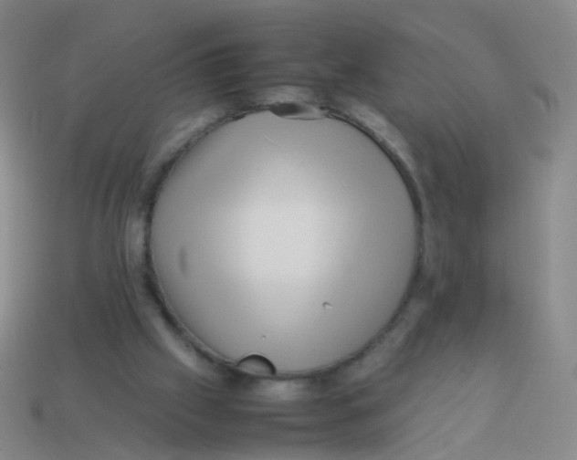 X0000113540057200910161421