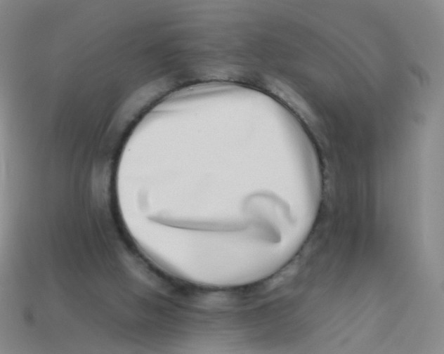 X0000113540058200910161421