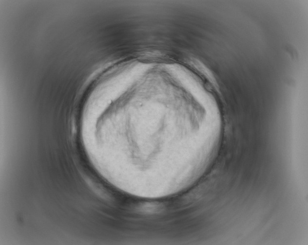 X0000113540059200910161421