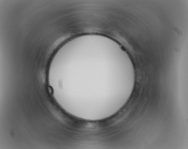 X0000113540060200910161421