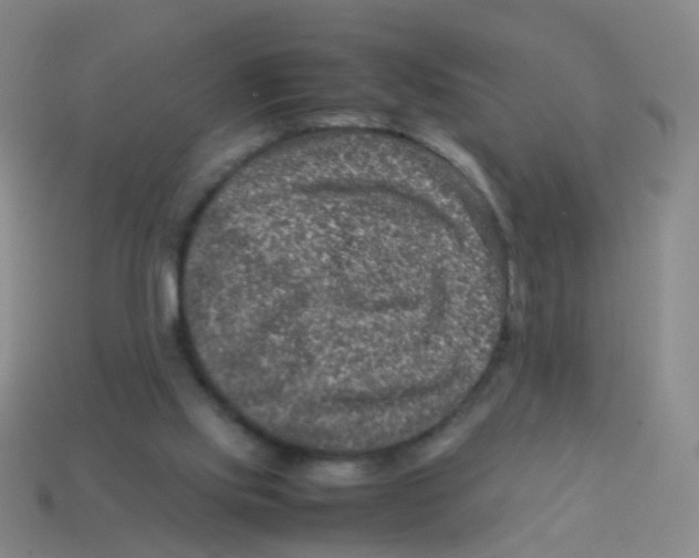 X0000113540061200910161421