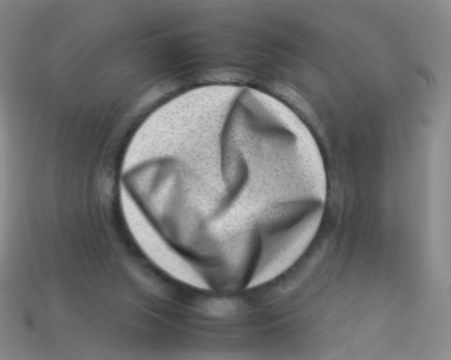 X0000113540063200910161421