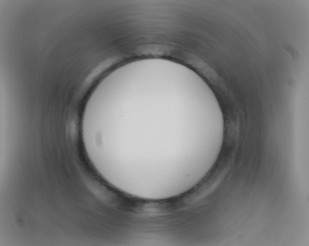 X0000113540064200910161421