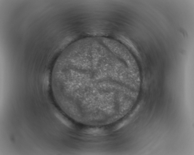 X0000113540065200910161421