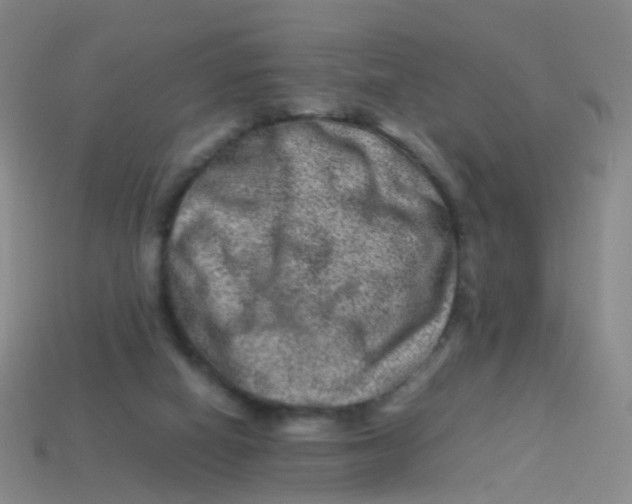 X0000113540066200910161421