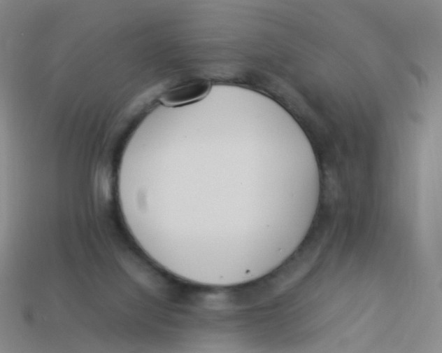 X0000113540068200910161421