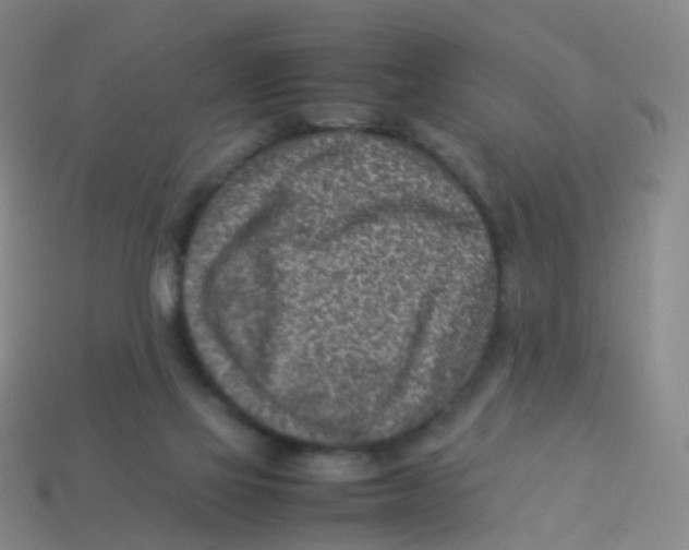 X0000113540069200910161421