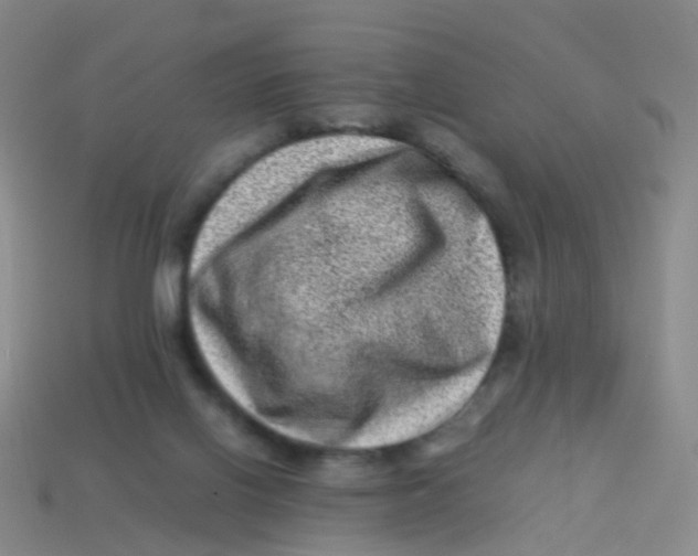 X0000113540070200910161421